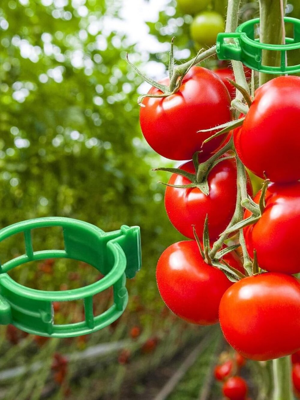 300Pcs Tomato Clips, Plastic Trellis Clips Plant Support Clips, Plant Clips for